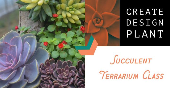 Succulent Terrarium Class